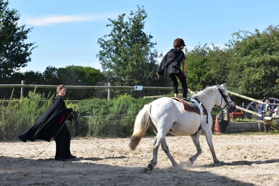 Ecuries Leseigneur - Camping Insolites Bolleville  Exterior photo