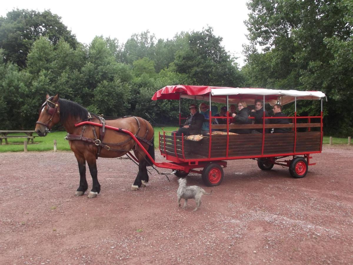 Ecuries Leseigneur - Camping Insolites Bolleville  Exterior photo